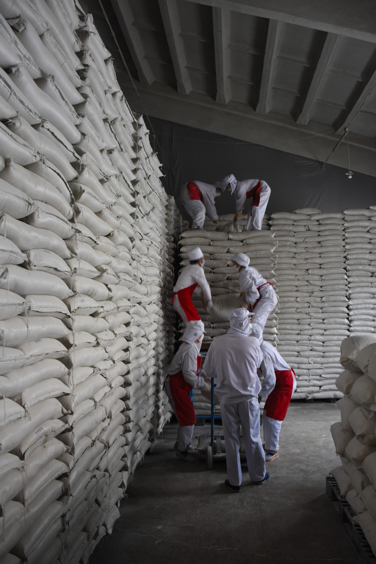 정부는 2일 북한과 세계식량계획(WFP) 협의가 지체되고 있는 상황에서 9월중 WFP를 통한 국내산 쌀 5만t의 대북지원이 어려워질 수도 있다는 입장을 밝혔다. 2016년 북한의 WFP 지원공장에서 직원들이 식량을 쌓고 있는 모습. [사진제공=WFP]