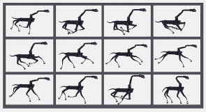 최성록, The Dog in Motion, 12채널 라이브 액션 애니메이션 [갤러리조선 제공]