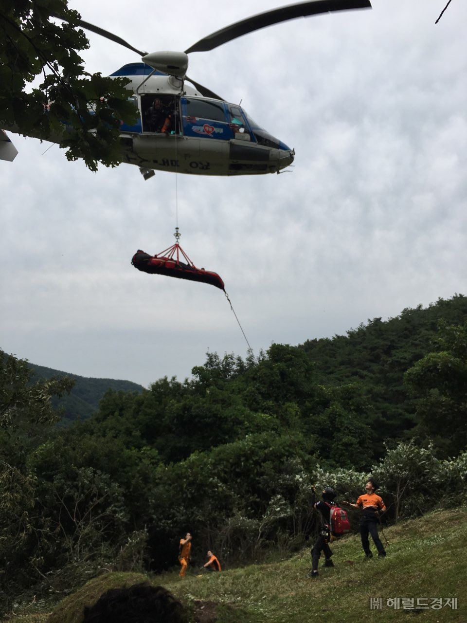 지난 1일 오전 경북 청도군 각남면 한 야산에서 벌에 쏘인 50대 환자가 소방헬기에 의해 병원으로 옮겨지고 있다.[경북소방본부 제공]