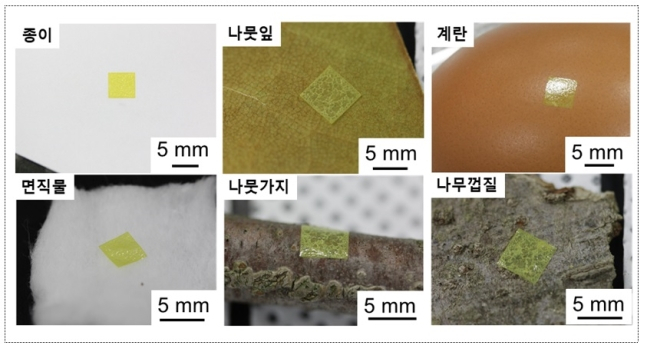 튜브형 나노 섬모가 있는 폴리이미드 필름을 울퉁불퉁한 표면에 접착한 이미지 [GIST]