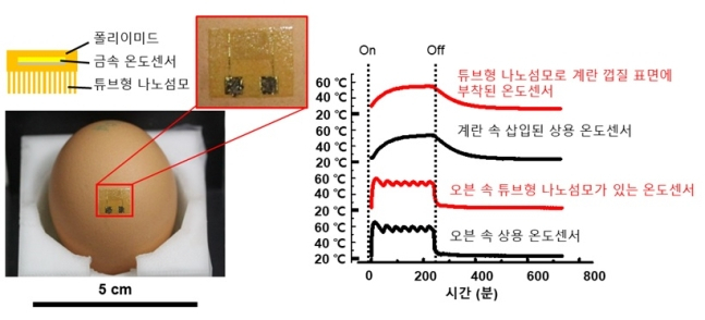 계란 껍데기에 부착된 온도센서. 겉에서도 계란 내부의 실시간 온도를 정확히 파악할 수 있어 비파괴적 온도 모니터링이 가능하다 [GIST]