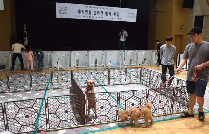노원구가 추석 연휴기간 구청 대강당에 반려견 쉼터를 운영한다. [노원구 제공]