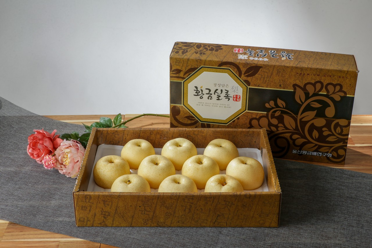 ‘황금실록’은 울산의 황금배를 ‘작고 맛있는 배’로 차별화하는데 성공한 이후, 울산 배 농가의 소득을 책임지는 ‘완판’ 기록을 4년간 써오면서 울산의 대표 과수 브랜드로 자리매김했다는 평가다.