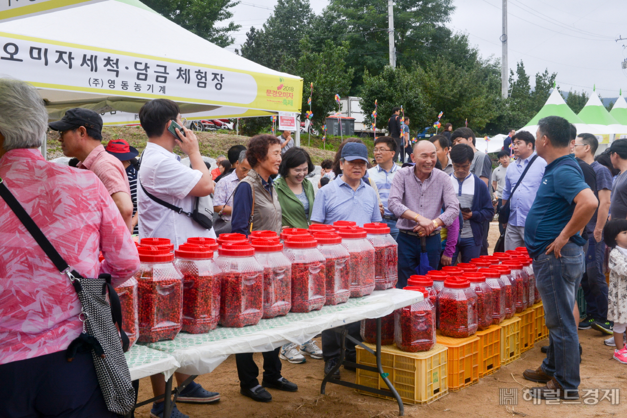 2018 문경오미자축제 모습.[문경시 제공]