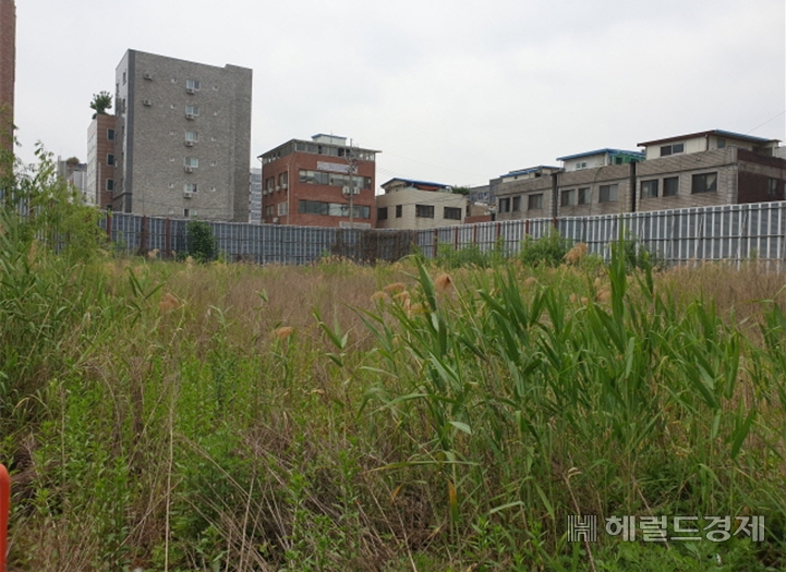양남시장 정비사업이 지연되면서 건물 철거 뒤 사업지가 방치돼 잡풀이 길게 자라나 있다. [영등포구 제공]