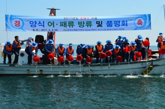 한국수력원자력 월성원자력본부이 과거 온배수를 이용해 양식한 강도다리 치어 10만 마리와 전복 치패 5만미를 방류하는 모습[한수원 제공]