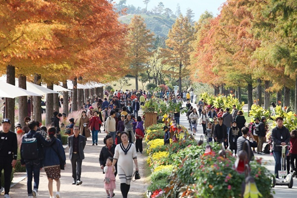 대한민국 제1호 순천만국가정원 가을 나들이객. [사진=순천시]