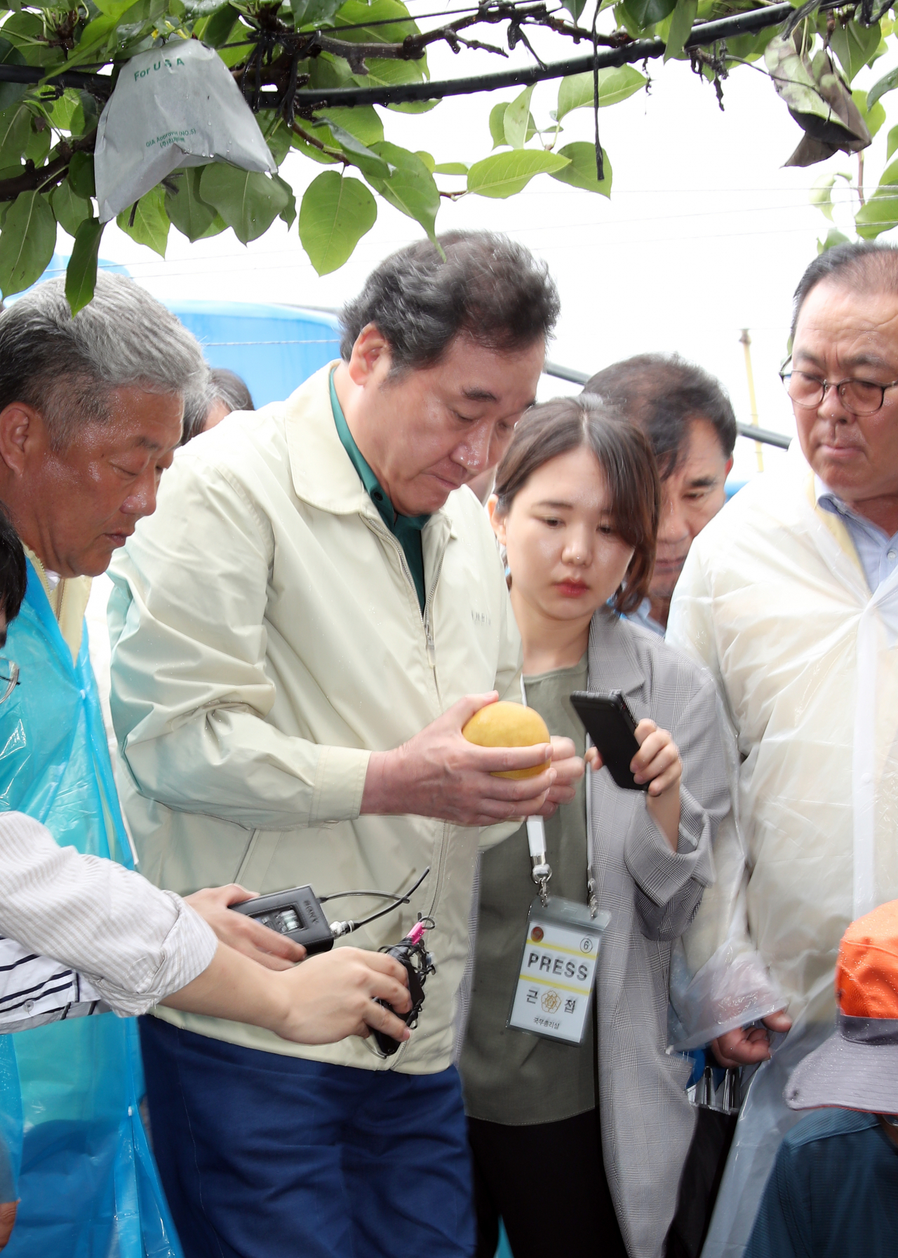 이낙연 국무총리가 9일 오전 경기도 안성시 배 낙과 피해 지역을 방문, 낙과를 살펴보고 있다. ［연합］