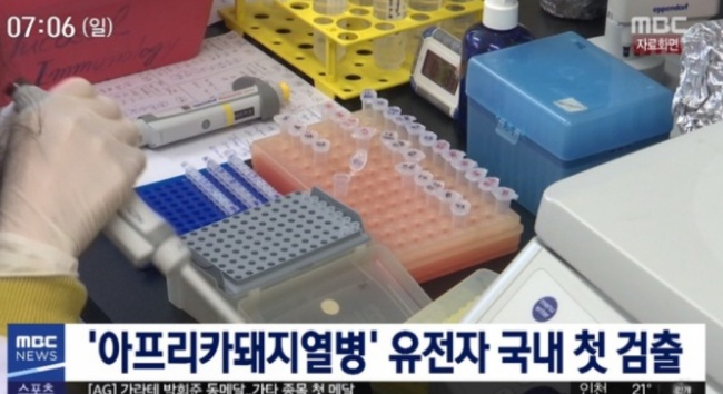 지난해 한국의 한 국제공항에서 반입 직전 확인된 아프리카돼지열병 바이러스. [MBC뉴스 화면 캡처]