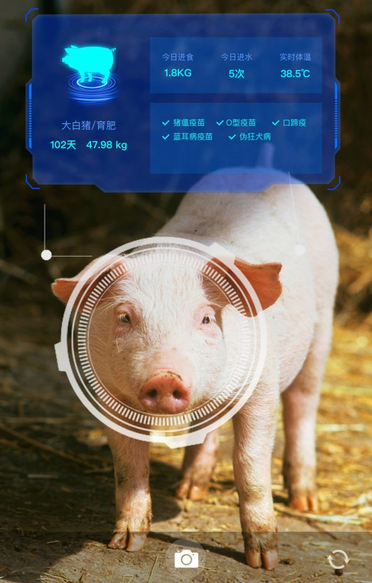 [JD.com 제공]