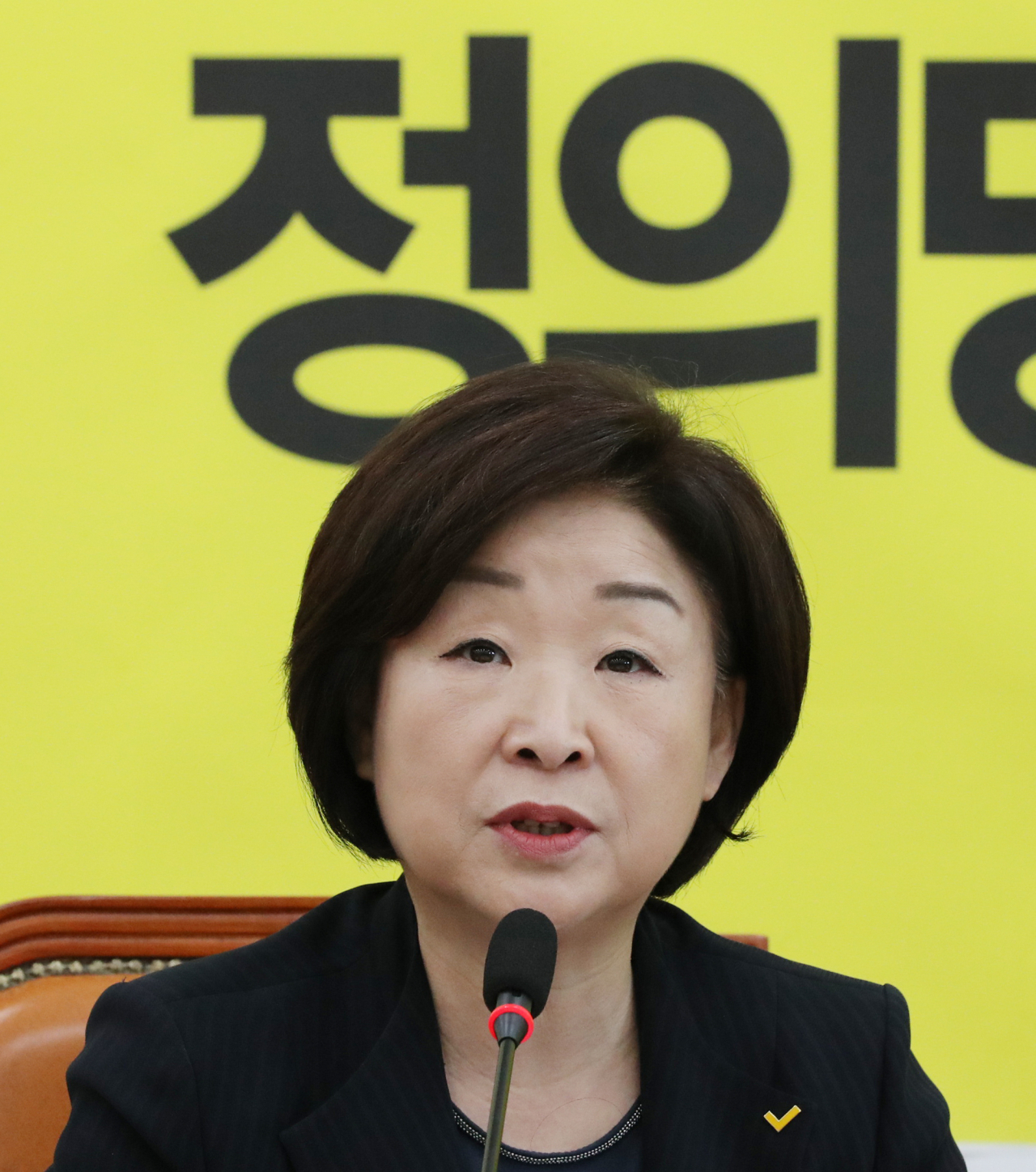 정의당 심상정 대표가 17일 오전 국회에서 열린 의원총회에서 발언하고 있다. [연합]