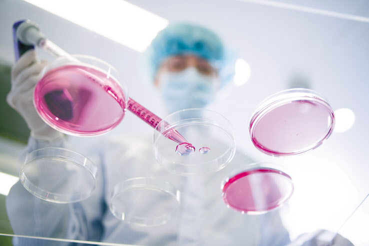 메디포스트는 최근 서울대 병원에서 주사형 무릎골관절염치료제 임상1상 시험을 시작했다.사진은 메디포스트 연구개발 장면. [메디포스트 제공]