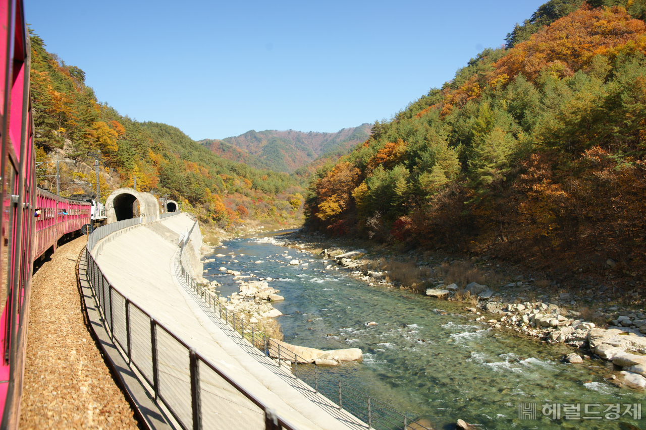 봉화 낙동강 세평하늘길[경북도 제공]