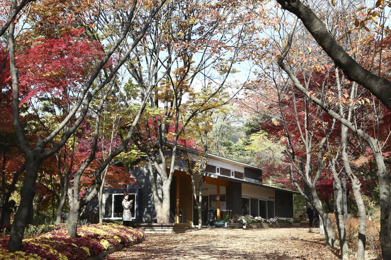 종로구는 9월 20일부터 11월 8일까지 '숲 치유 프로그램'을 운영한다. 사진은 관내 삼청공원 모습. [종로구 제공]