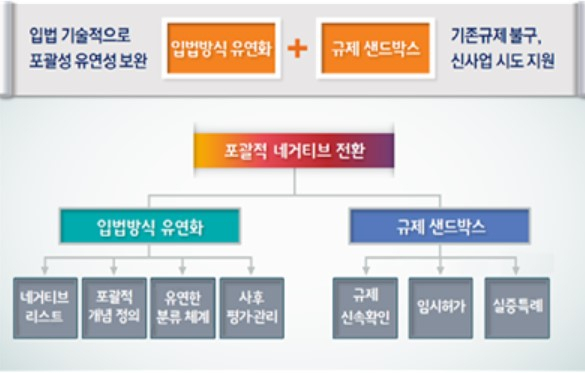 포괄적 네거티브 규제 개념 및 유형 〈자료:국무조정실〉