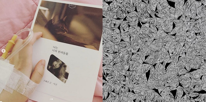 [구혜선 인스타그램 캡처]