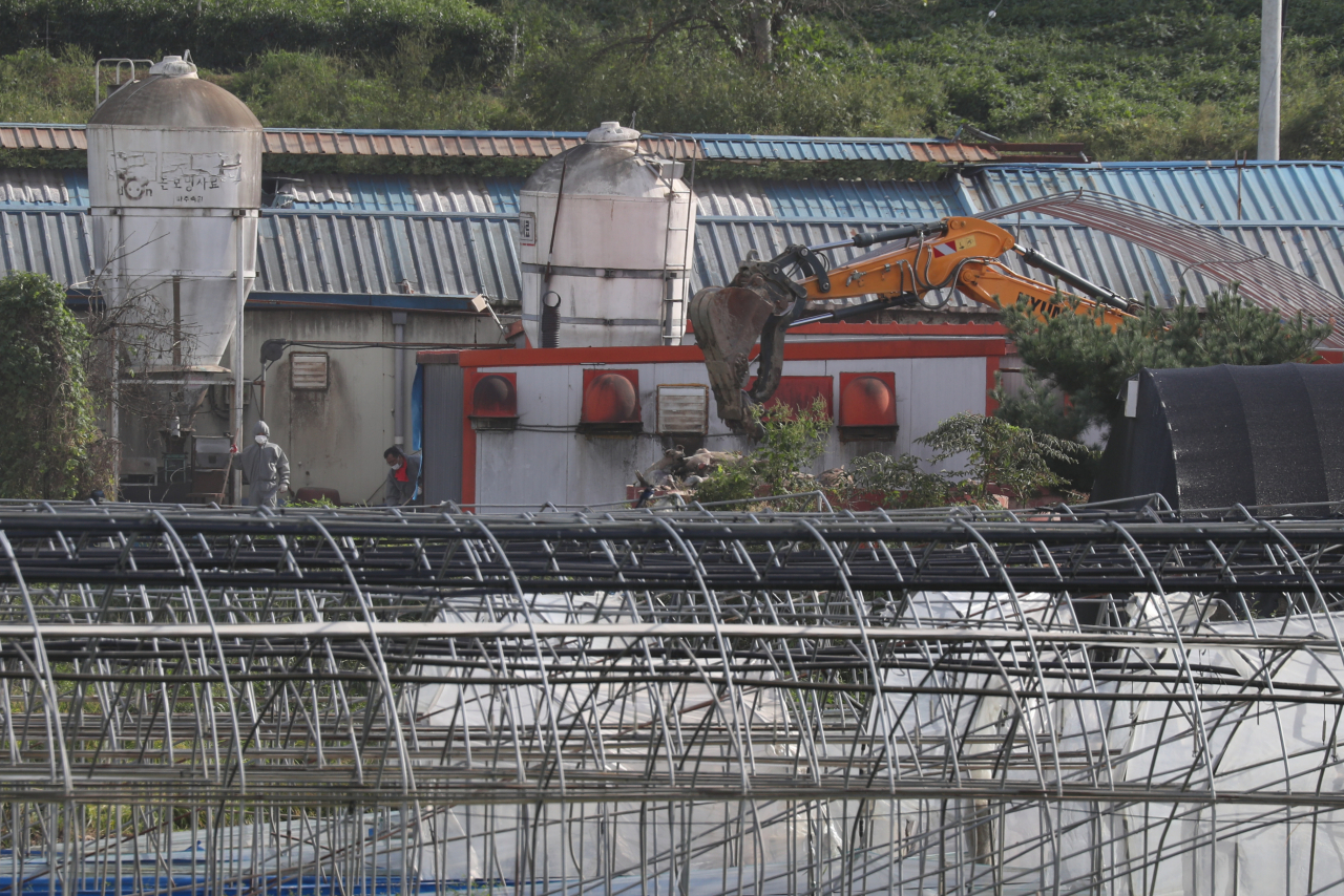 19일 경기도 파주시의 아프리카돼지열병(ASF) 발생 양돈농가에서 방역당국이 농장 내부를 정리하고 있다.［연합］