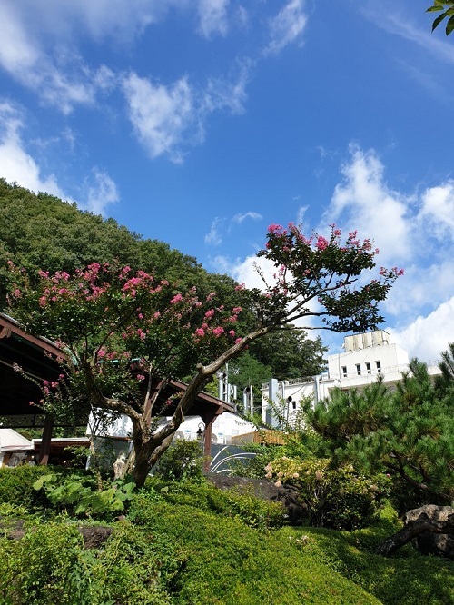 하늘물빛정원의 자연 속에서 힐링하세요 - 헤럴드경제 하늘물빛정원의 자연 속에서 힐링하세요