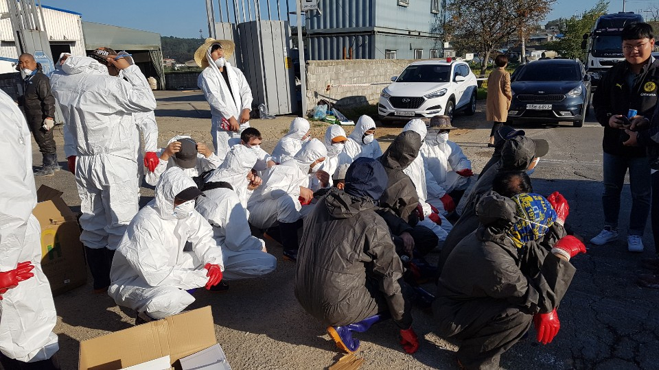 24일 오전 경기도 김포 통진읍의 한 양돈농장 앞. 용역업체 직원들이 살처분 작업을 위해 대기하고 있는 모습. [정세희 기자/say@heraldcorp.com]