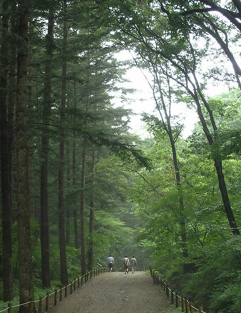 국립수목원 [연합]