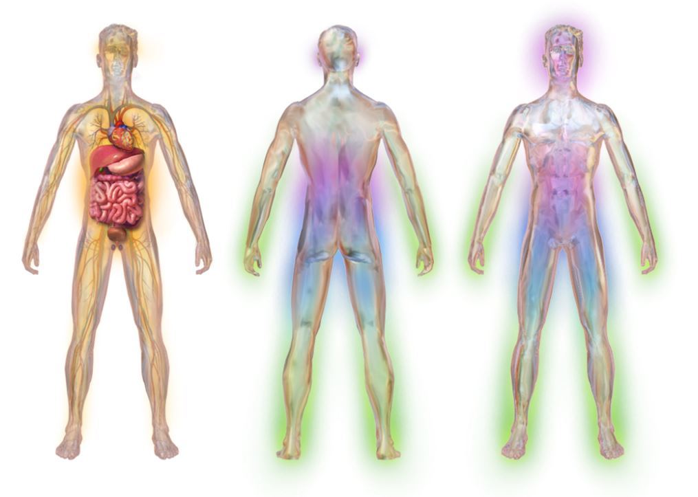 Diabetic neuropathy (Wikimedia Commons)