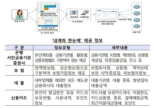 [금감원 제공]