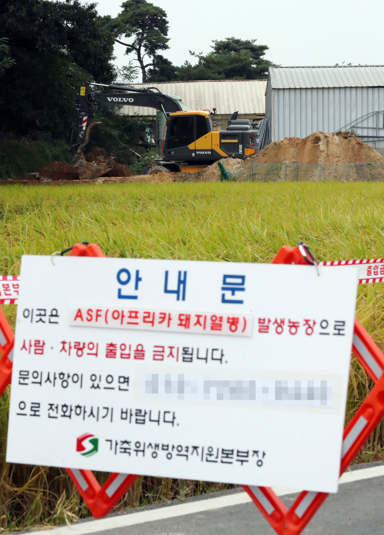 인천 강화지역에 아프리카돼지열병(ASF)이 확산해 방역당국에 비상이 걸린 27일 오후 국내 8번째로 ASF가 확진된 인천시 강화군 강화읍 한 양돈농장에서 포클레인이 살처분 작업을 위해 땅을 파고 있다. ［연합］