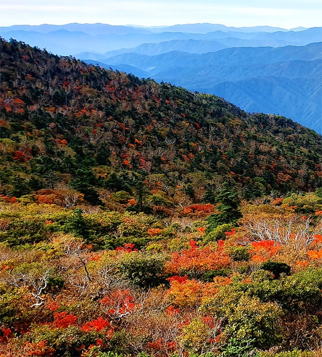 첫 단풍이 든 설악산 [설악산국립공원사무소 제공]