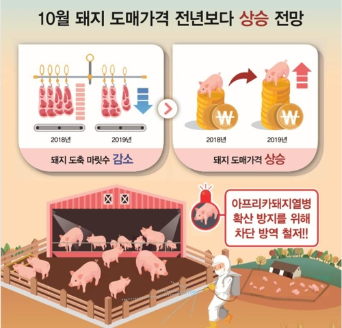 10월 돼지고기 가격 상승 전망 [한국농촌경제연구원 농업관측본부 제공]