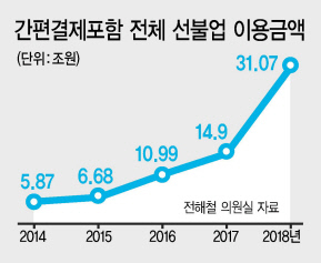 허술한 안전장치에도…덩치만 커진 ‘**페이’