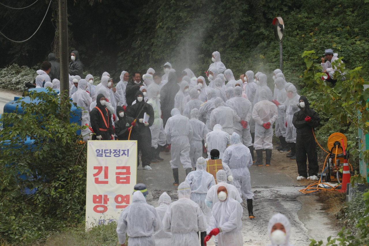 2일 경기도 파주시 파평면의 한 양돈농가에서 아프리카돼지열병(ASF)가 발생해 방역당국이 살처분 작업을 준비하고 있다. [연합]