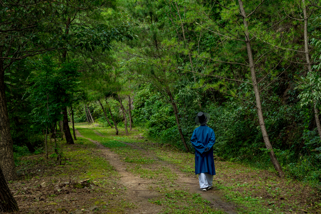 안동 하회마을로 가는 산길
