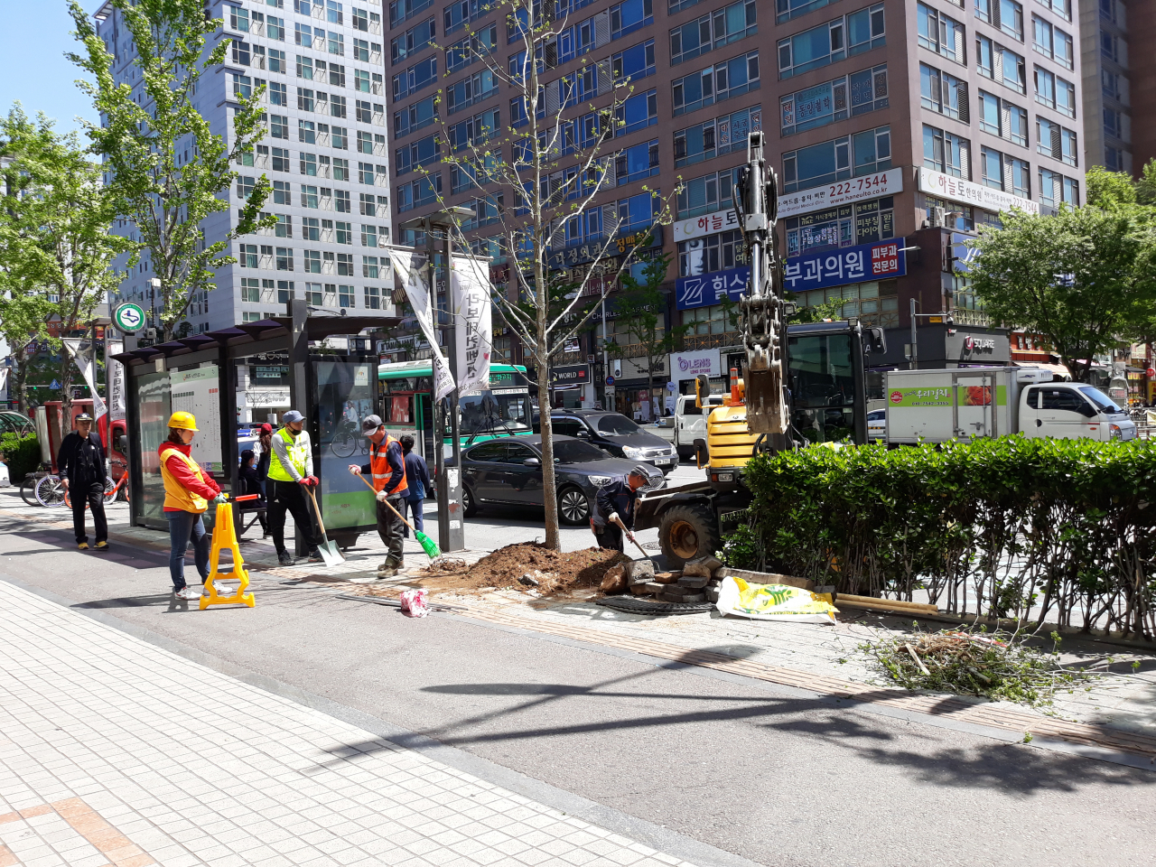 은행나무 암나무 교체작업.[수원시 제공]