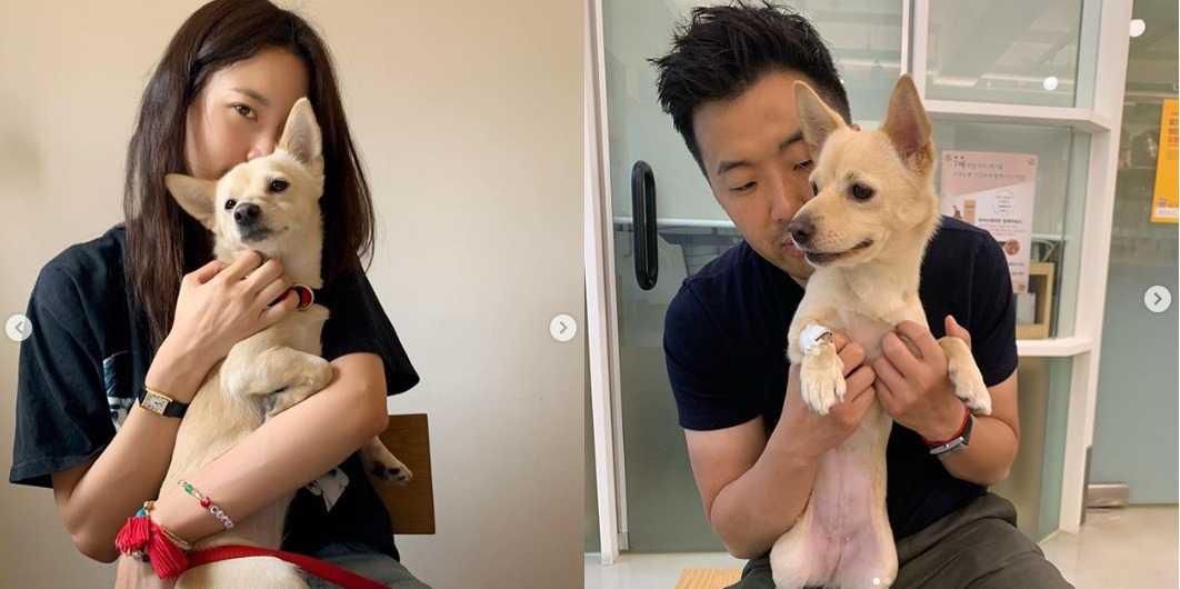 차민근 위워크코리아 대표의 반려견 ‘두부’ 사진을 게재한 배우 수현(왼쪽)과 차 대표. [수현·차민근 인스타그램 캡처]