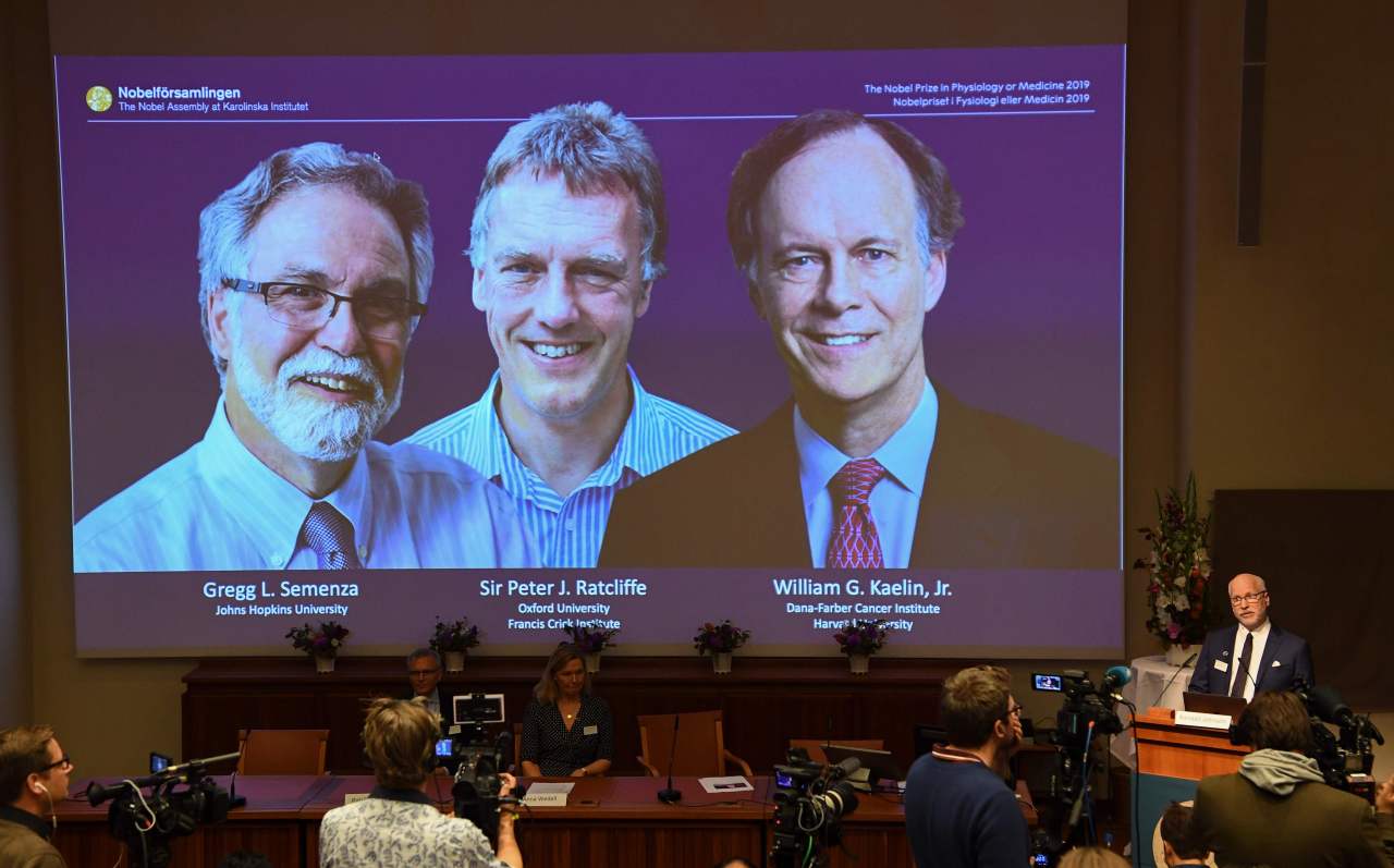 Nobel Assembly member Randall Johnson announces the winners of the 2019 Nobel Prize in Physiology or Medicine Gregg Semenza of the US, Peter Ratcliffe of Britain and William Kaelin of the US, seen on a screen, during a press conference at the Karolinska Institute in Stockholm, Sweden, on Monday, local time. (Yonhap)