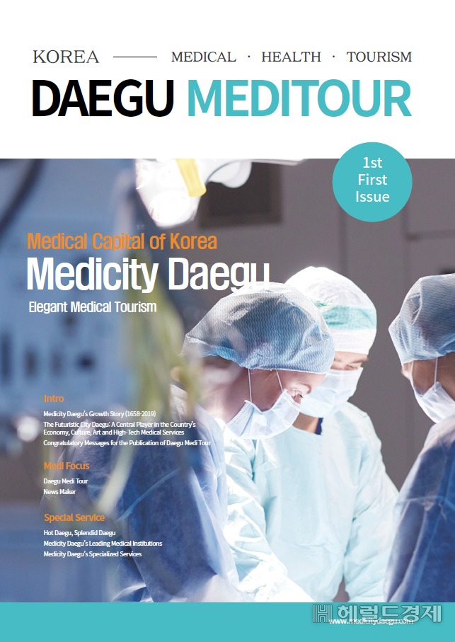 대구메디투어(DAEGU MEDITOUR) 표지.[대구시 제공]
