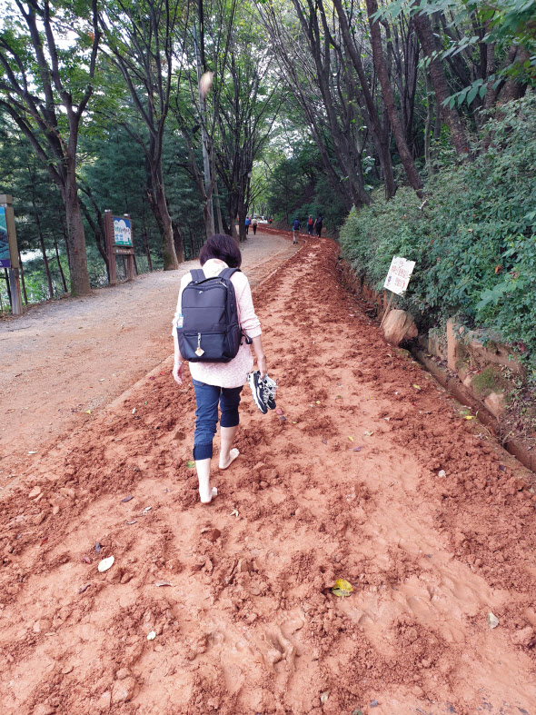 맨발의 즐거움. 부드러운 황토가 15㎞에 걸쳐 깔려있는 계족산 황톳길 산책은 다른 곳에서 맛보기 힘든 경험을 선사해준다. 김성진 기자 withyj2@