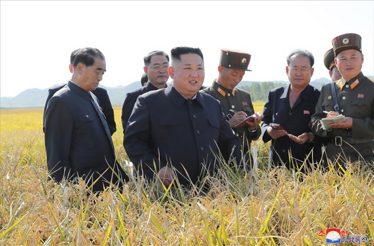 (Yonhap)