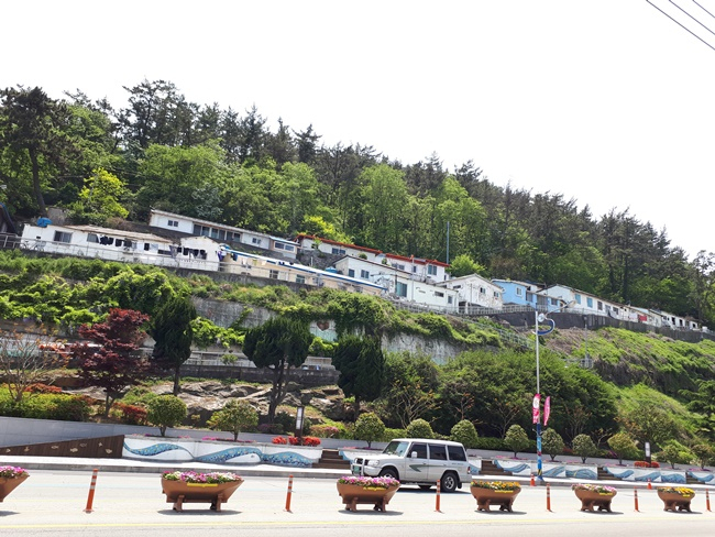 전남 완도읍 군내리 빙그레공원. 박대성기자/parkds@heraldcorp.com