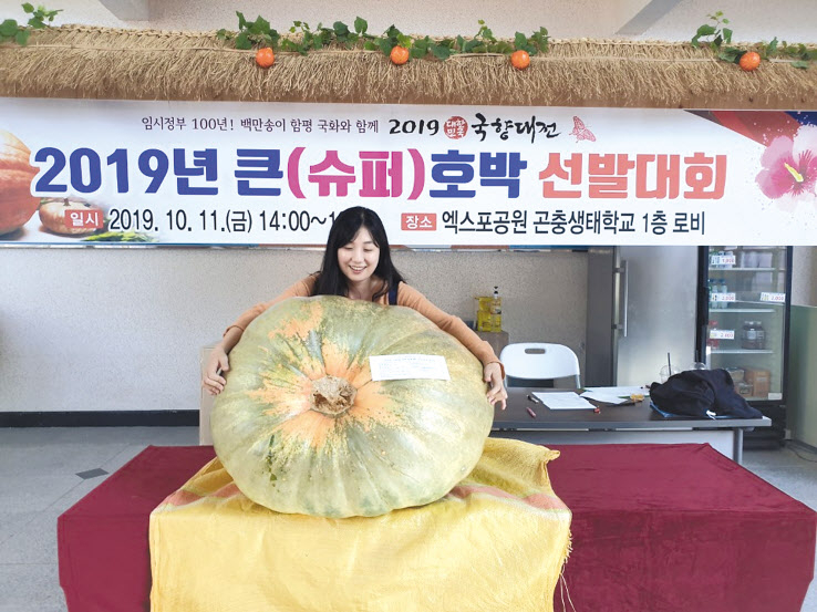 용산구 ‘슈퍼호박 선발대회’ 대상