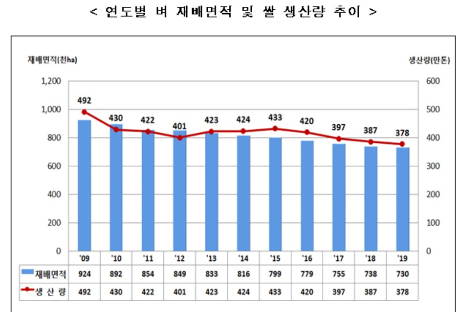 올해 쌀 생산량, 39년만에 가장 적을 듯…378만t 전망