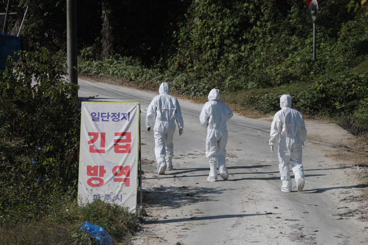 아프리카돼지열병(ASF)이 발생한 지 1개월을 앞두고 있는 16일 경기도 파주시에서 방역당국 관계자들이 ASF 살처분이 완료된 양돈농가의 시료 채취를 위해 이동하고 있다. ［연합］