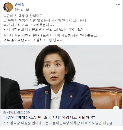 [손혜원 의원 페이스북 캡처]