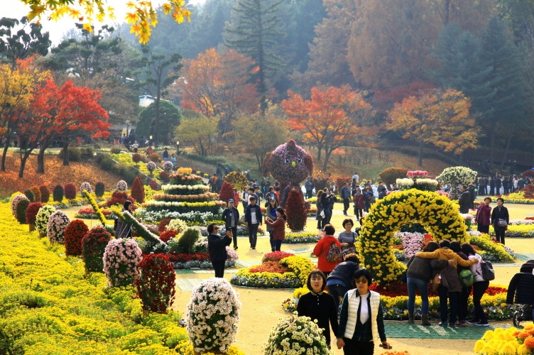 청남대 국화축제가 오는 19일부터 11월 10일까지 열린다.