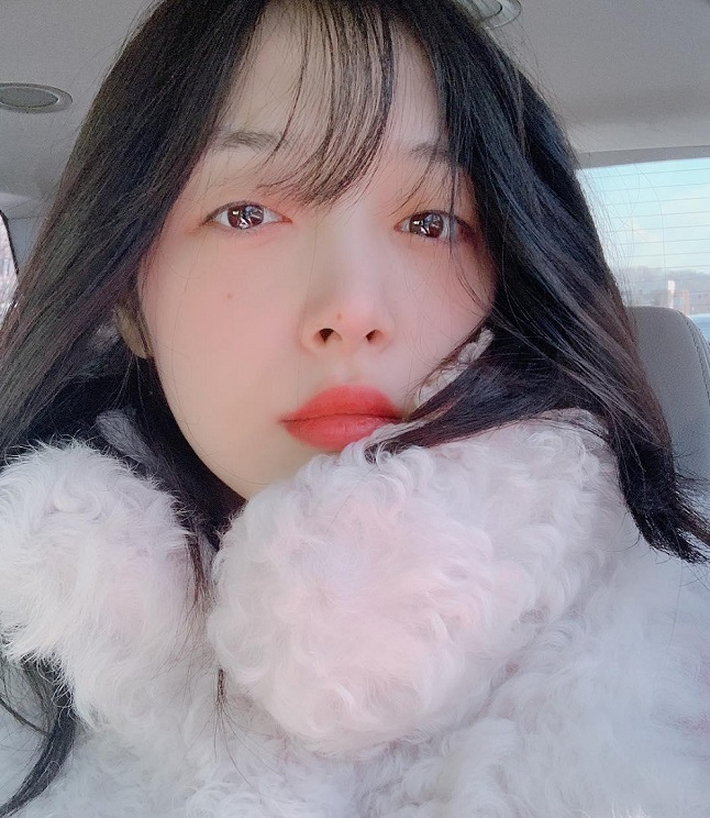 우울증으로 극단적 선택을 한 것으로 알려진 가수 겸 배우 고(故) 설리가 숨지기 하루 전 신선식품을 배달했다는 언론 보도가 나와 그의 죽음에 대한 의혹이 제기되고 있다.[OSEN]