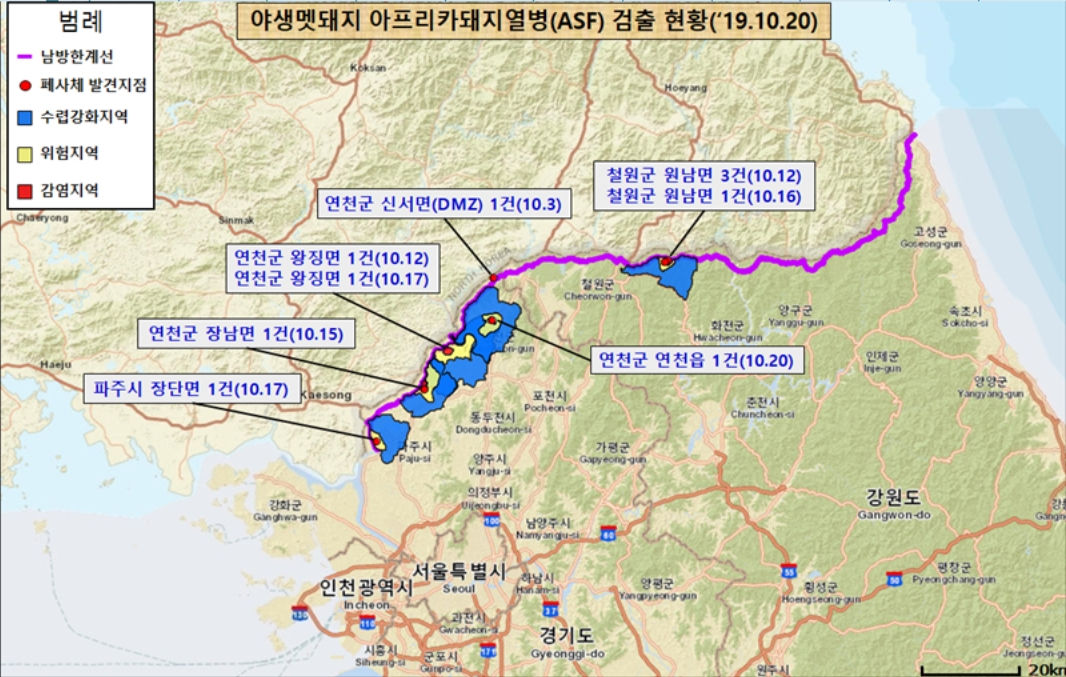 경기 연천 민통선 남쪽 3㎞ 멧돼지서 ASF 검출…남쪽으로 확산 중