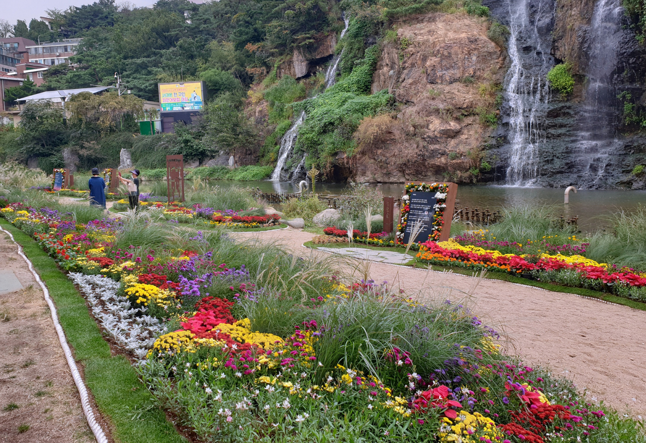 홍제천 변 가을 꽃길 ‘시’ 구간 모습. [서대문구 제공[