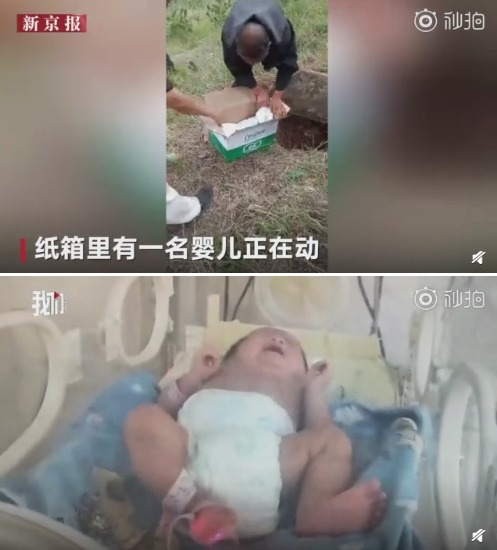 중국에서 버섯을 캐러갔던 노인들에 의해 생매장된 발견된 아기. [웨이보 갈무리]