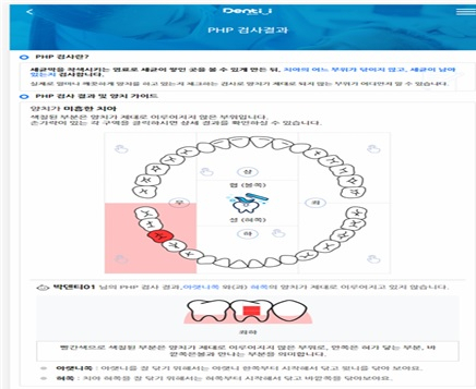 학생치과주치의시스템의 구강검진 결과 예시. [서울시 제공]