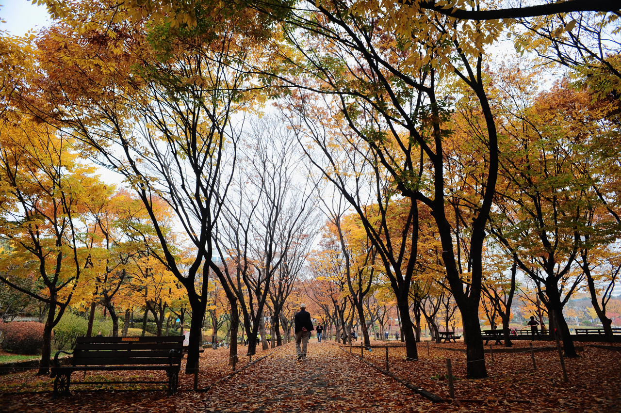 2019 공원사진사 합동 사진전 작품(김강녹 '사색'/보라매공원). [서울시 제공]